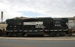 NS 5031